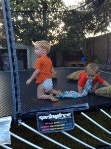 Read more about the article 