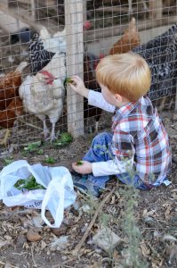 Read more about the article Hayride