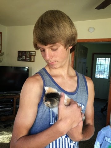 You are currently viewing Levi/ Abbey new kitten