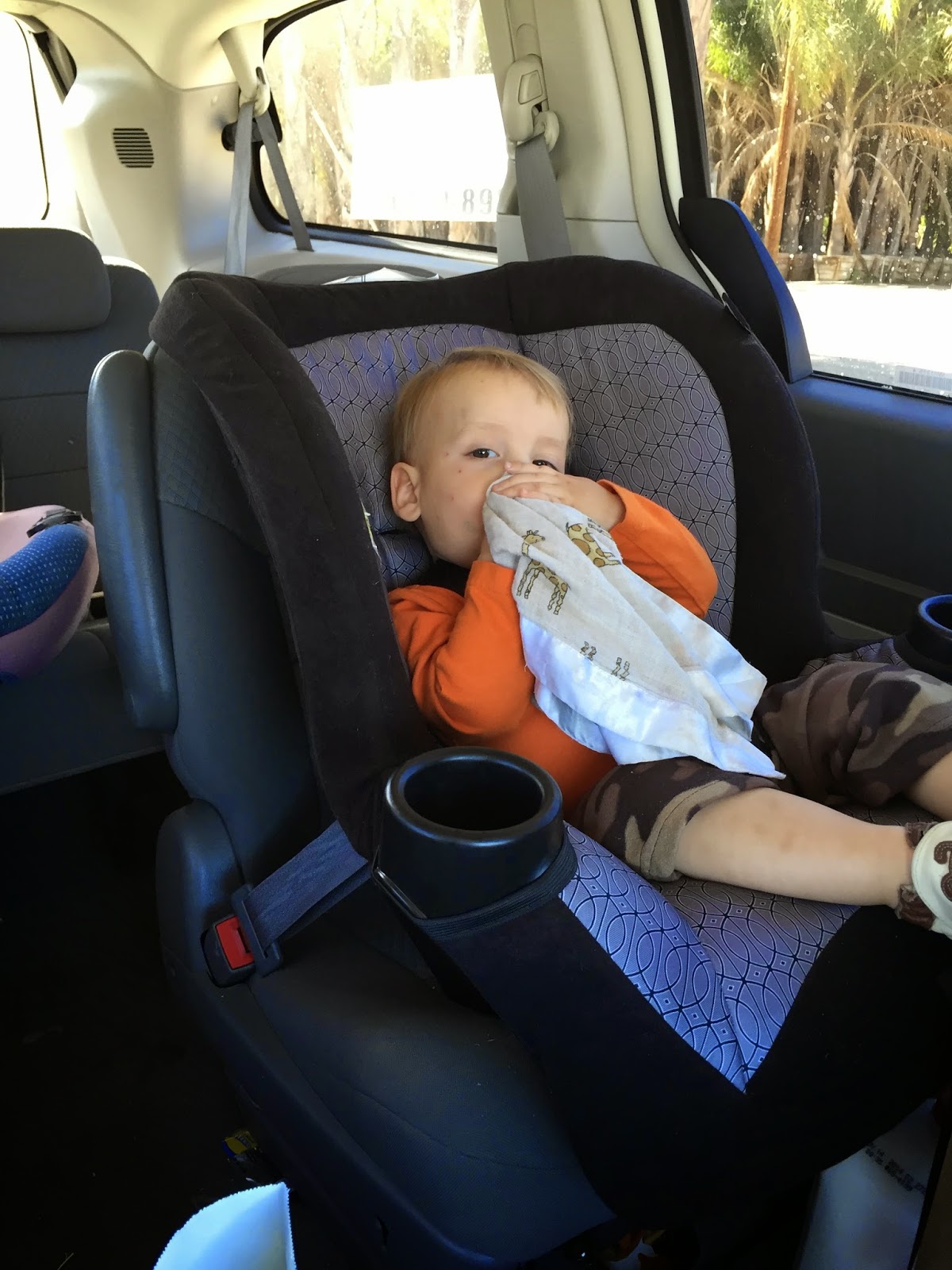 You are currently viewing Pumpkin TIME