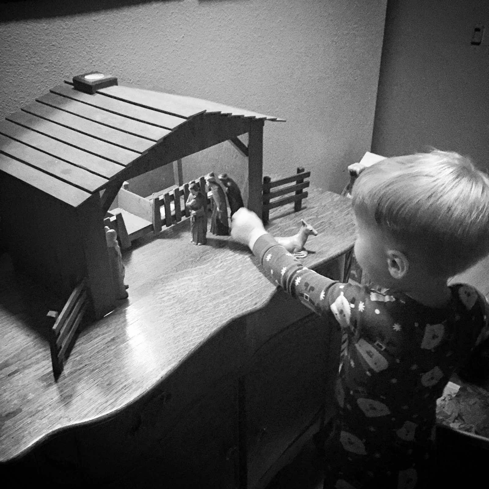 Read more about the article Tree Day