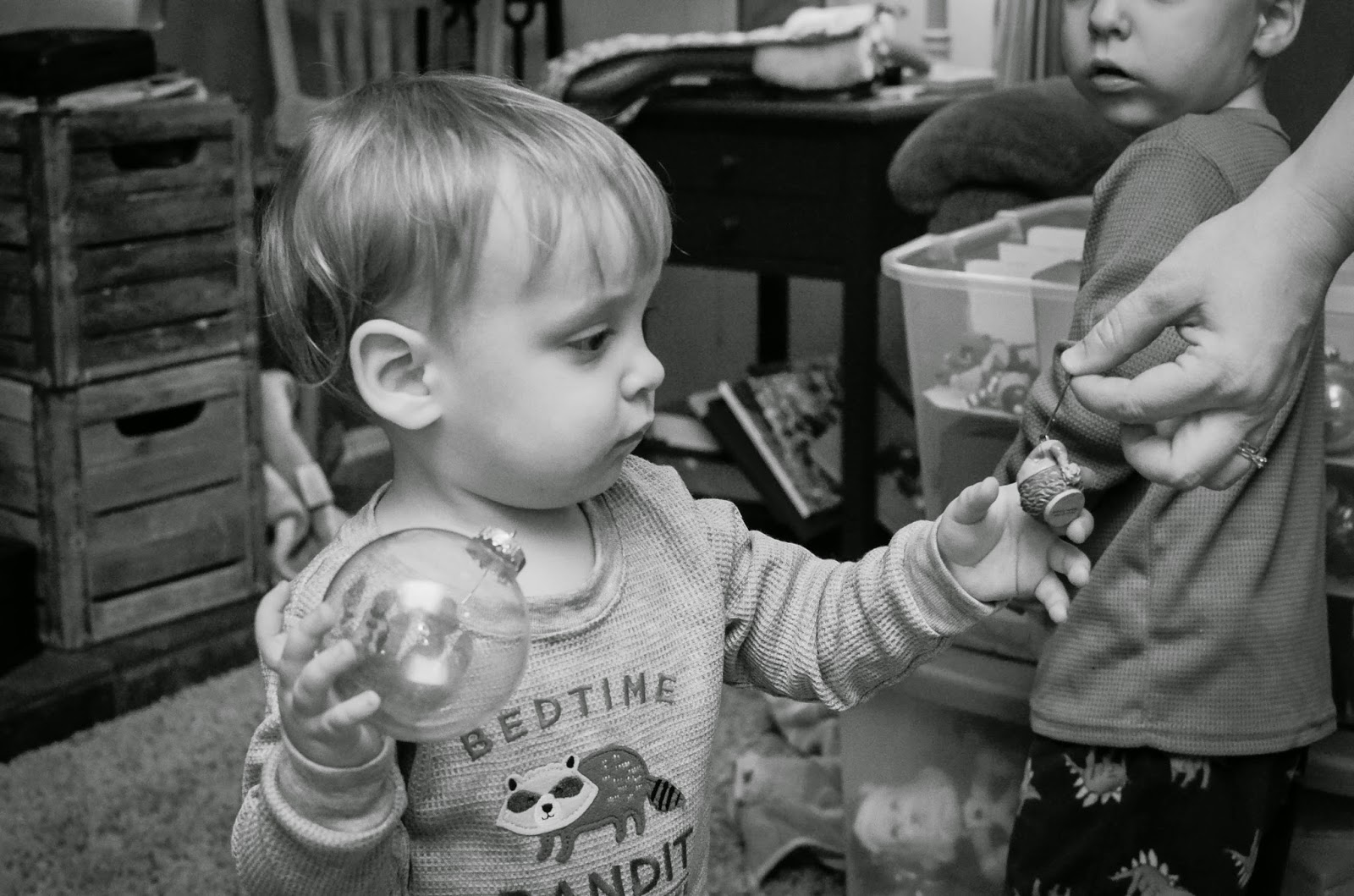 You are currently viewing Decorating the tree