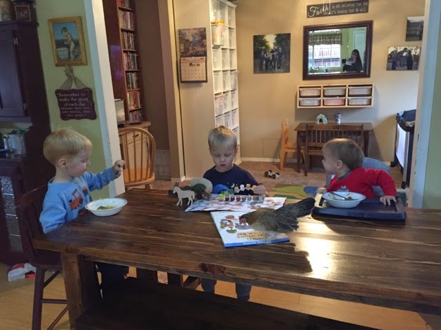 Read more about the article 