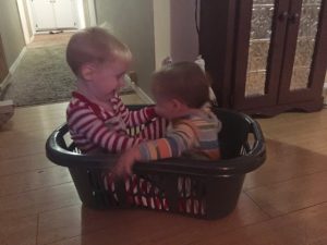 Read more about the article Life