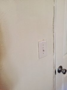 Read more about the article Dover White