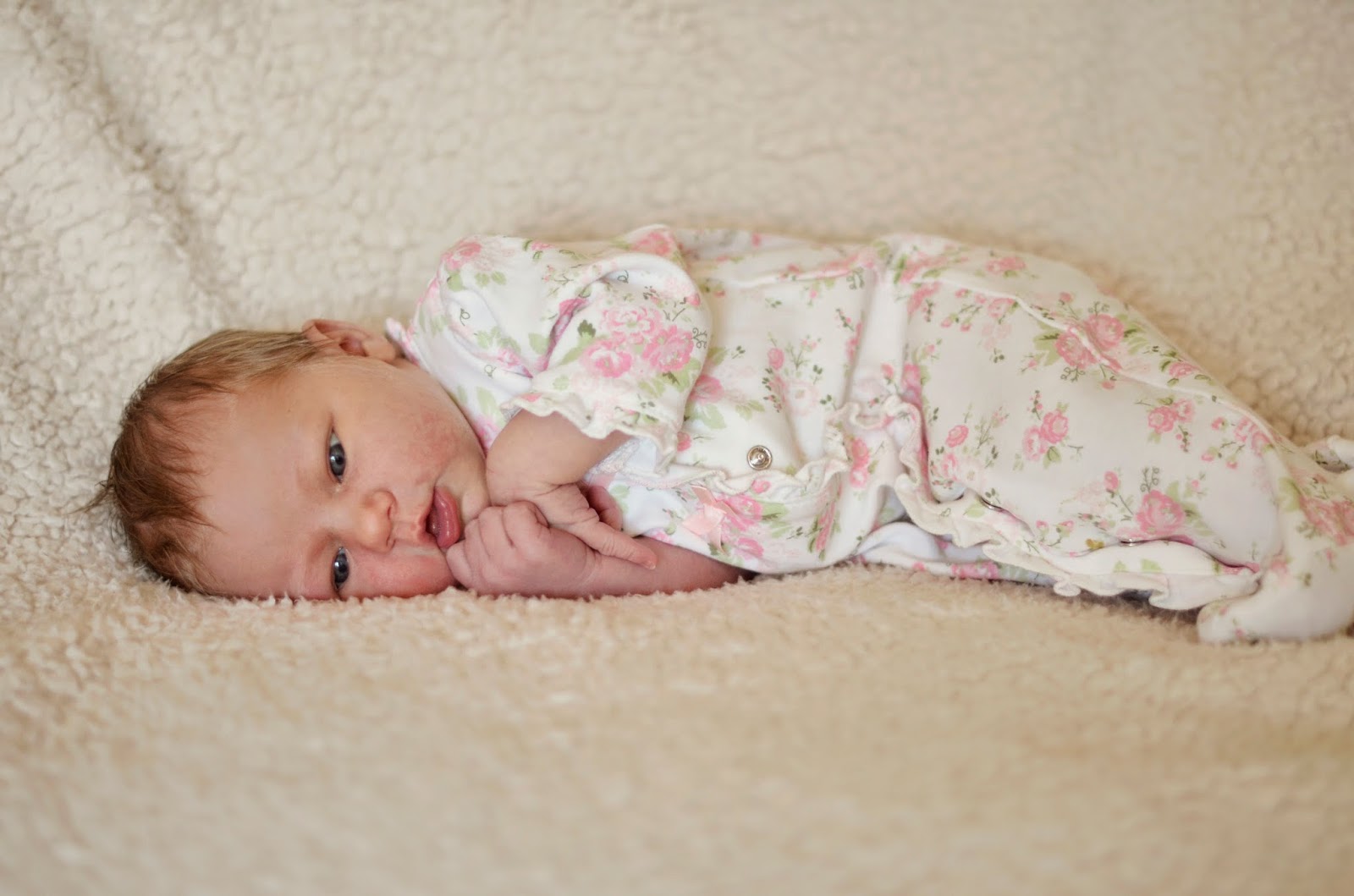 You are currently viewing Annie Mae 2 days old