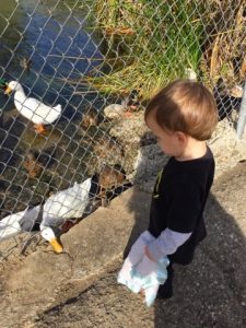 Read more about the article Grandma Visit