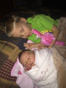 Read more about the article Napping buddies.