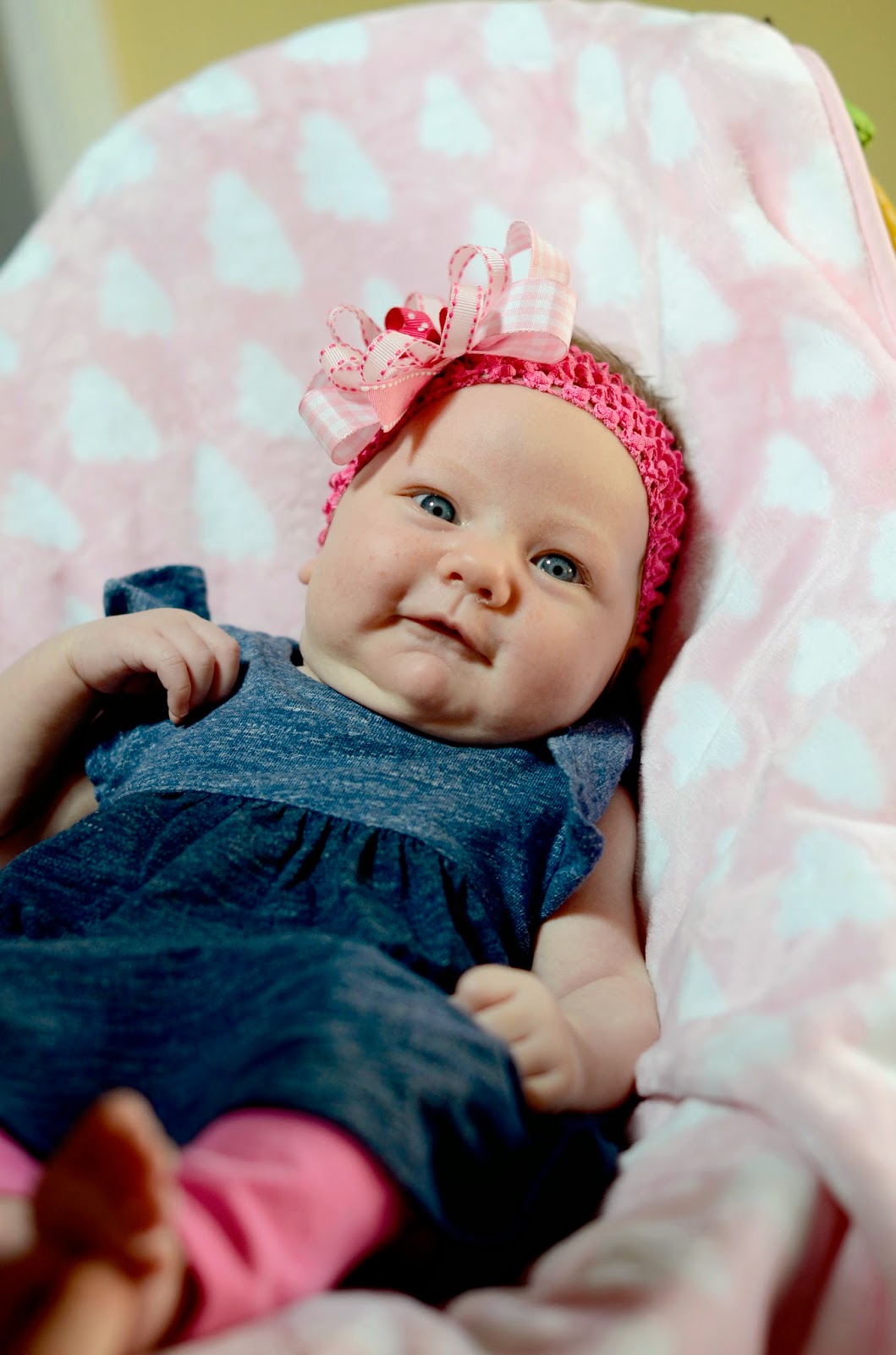 Read more about the article 