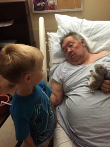 Read more about the article Pop