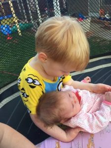 Read more about the article 