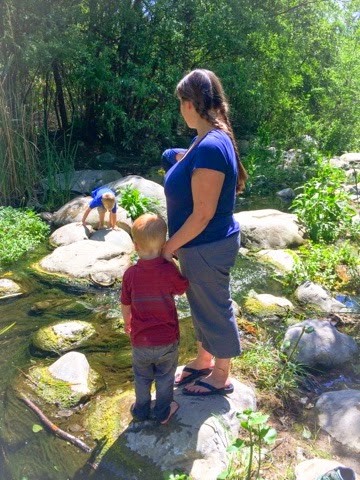 Read more about the article Day off