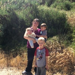 Read more about the article Lupins