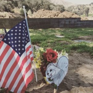 Read more about the article Memorial Day