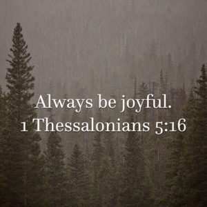 Read more about the article JOY