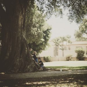 Read more about the article Picnic