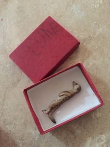 Read more about the article Little Meerkat and the red box