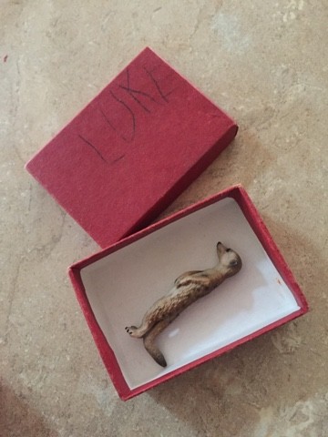 You are currently viewing Little Meerkat and the red box