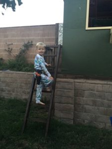 Read more about the article 