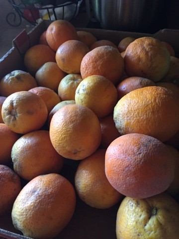 Read more about the article visitors