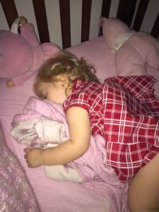 Read more about the article Seasons