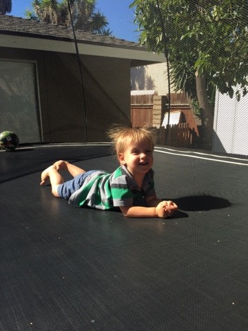 Read more about the article Titus Glenn