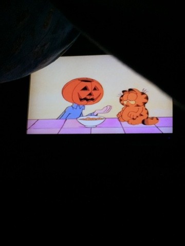 Read more about the article Tents in the living room