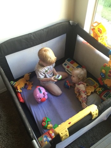 Read more about the article 