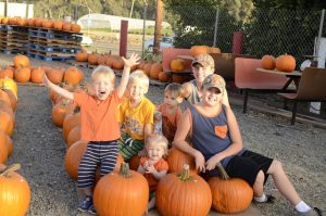 Read more about the article Harvest time