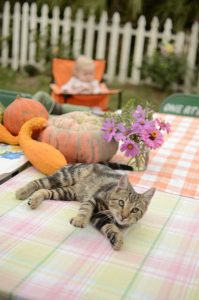 Read more about the article Annual Hayride at Levi’s house October 27th