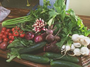 Read more about the article a lil’ Godwink