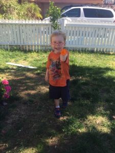 Read more about the article Oh Gideon….