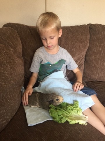 Read more about the article Cuddles, Cookie, and Cupcake