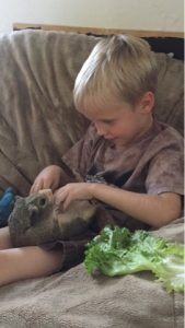 Read more about the article Cuddle time with Cuddles