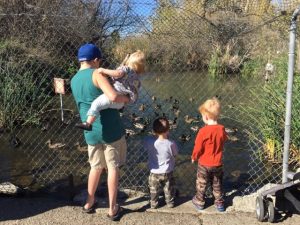 Read more about the article field trip