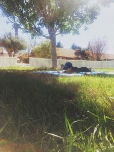 Read more about the article 