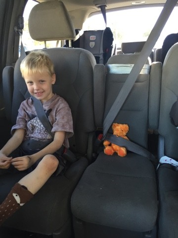 Read more about the article Lil’ orange bear