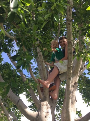 Read more about the article 