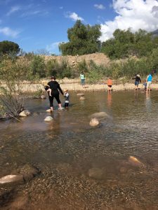 Read more about the article River fun