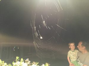 Read more about the article Spring Break around the house fun