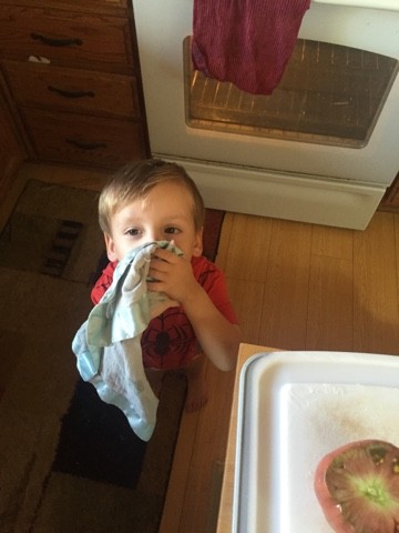 Read more about the article 