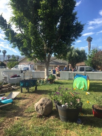 Read more about the article PATIO