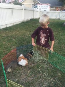 Read more about the article Summer nights