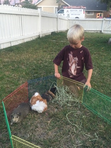 Read more about the article Summer nights