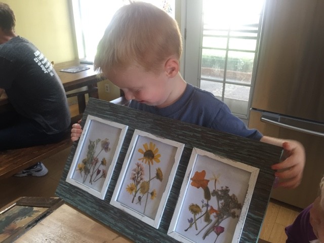 You are currently viewing Pressed flowers