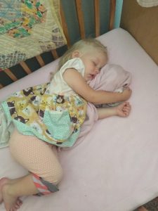 Read more about the article Summer Days coming to an end