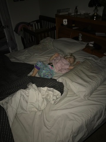 You are currently viewing Early mornings