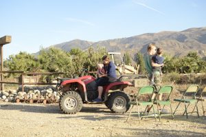 Read more about the article 