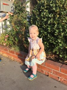 Read more about the article Lords Day