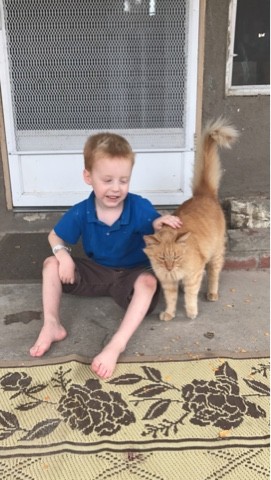 You are currently viewing Gideon hospital